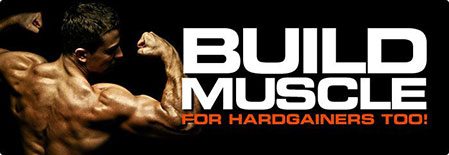 build-muscle