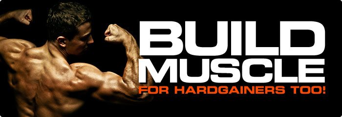 build-muscle