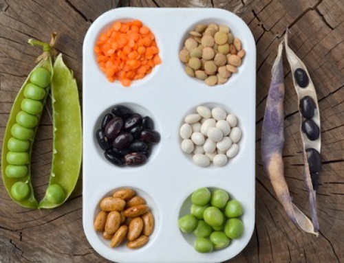 5 Nutrients You Might Just Be Forgetting!